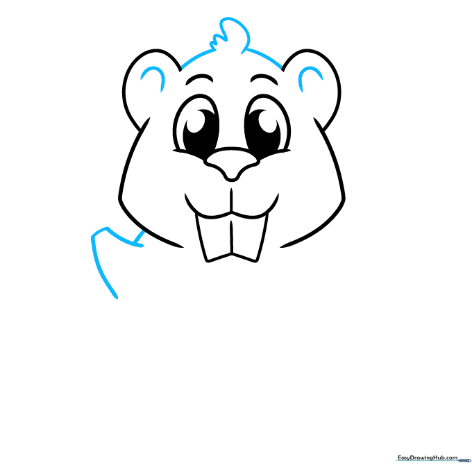 Drawing showing the addition of fur texture on the head and the start of the beaver's shoulders.