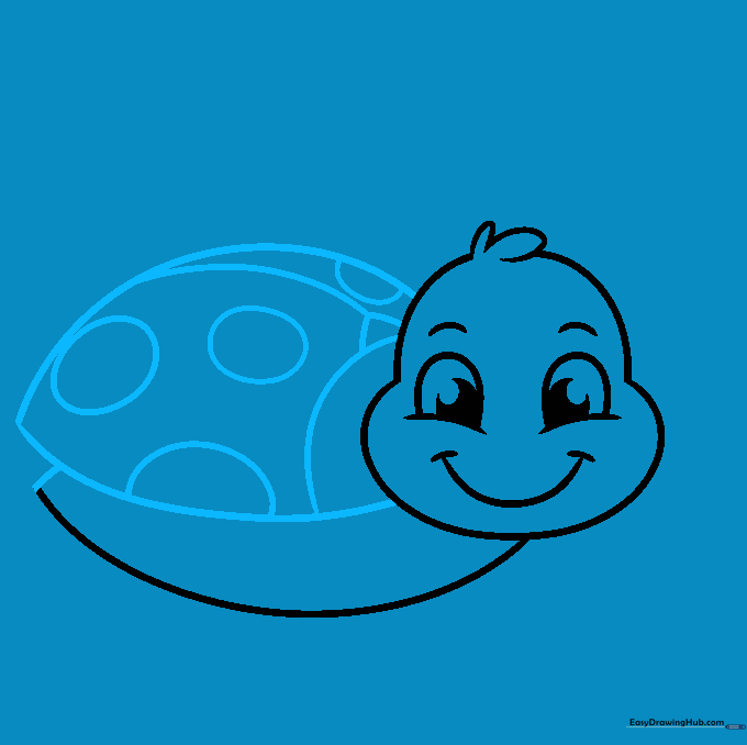 The bug's shell outlined with curved lines and decorated with various circular spots.