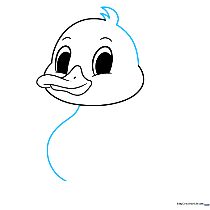 Drawing the head feathers and the start of the duck's neck.