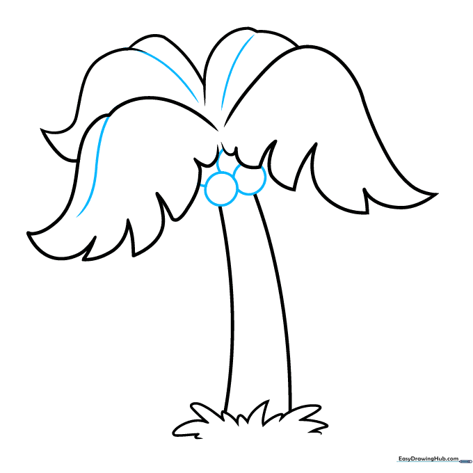 Drawing circular coconuts tucked under the leaves and adding center lines to the fronds.