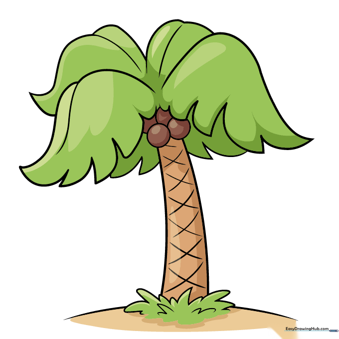 Final colored cartoon palm tree drawing with vibrant green leaves and brown trunk.