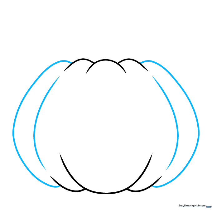 Connecting the top and bottom ridges with long curved lines on both sides.