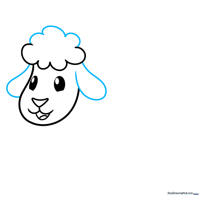 Completing the head outline and adding two long, floppy ears to the sheep.