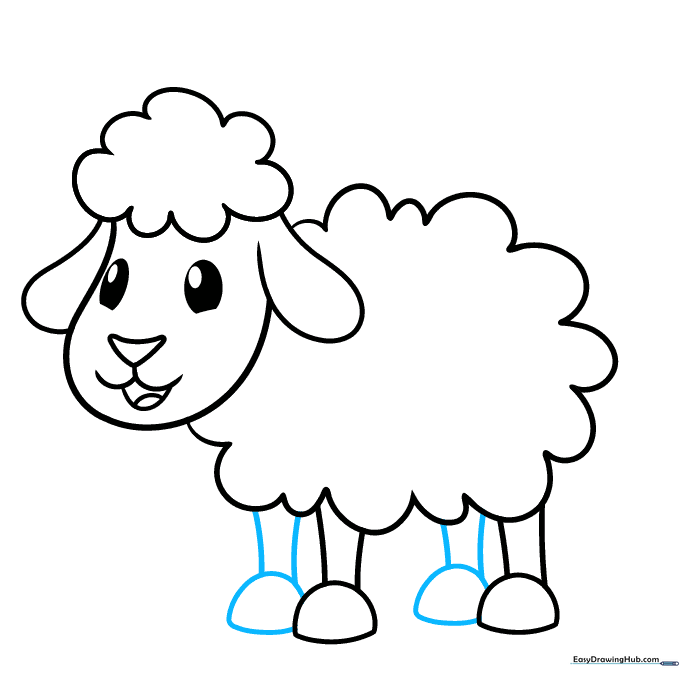 Drawing the back legs to complete the sheep's four-legged stance.