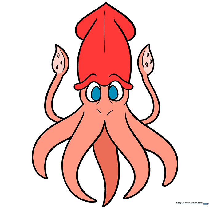 Finished, colored cartoon squid drawing