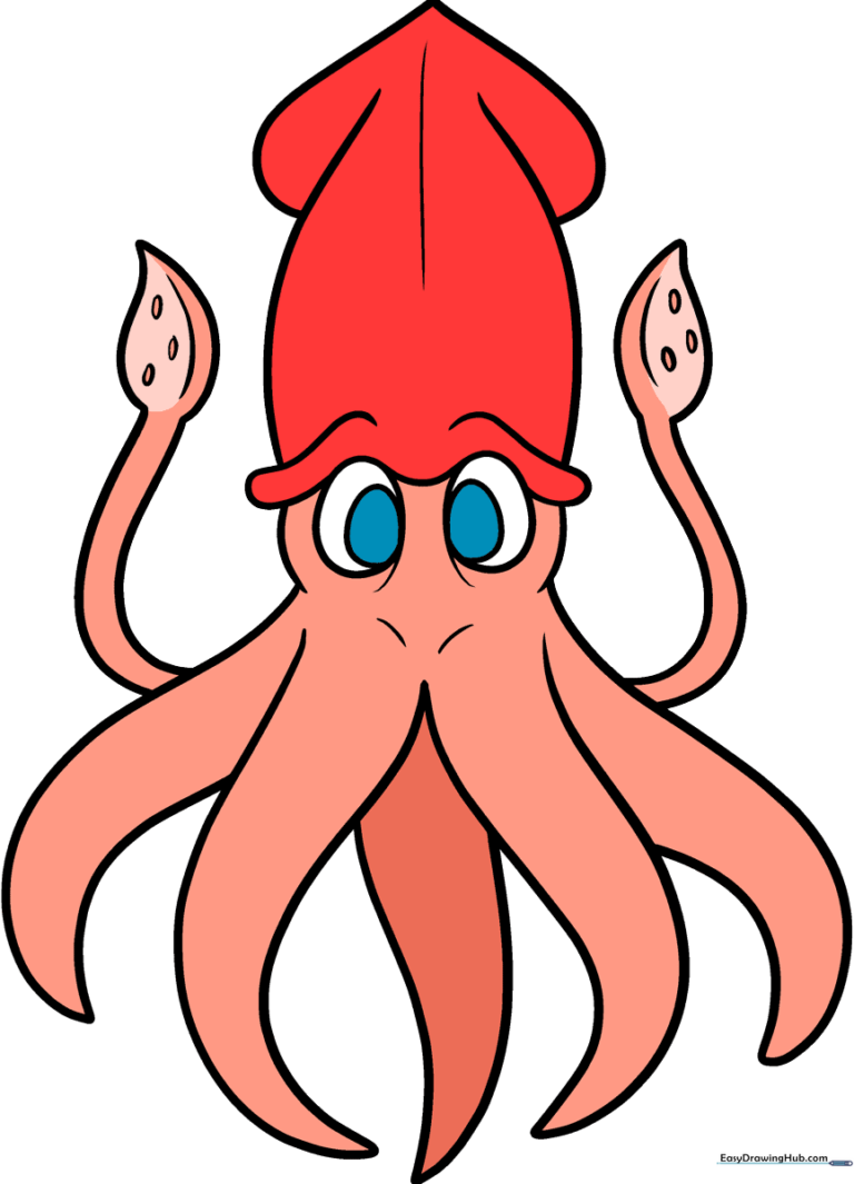 A colorful, friendly cartoon squid illustration for kids
