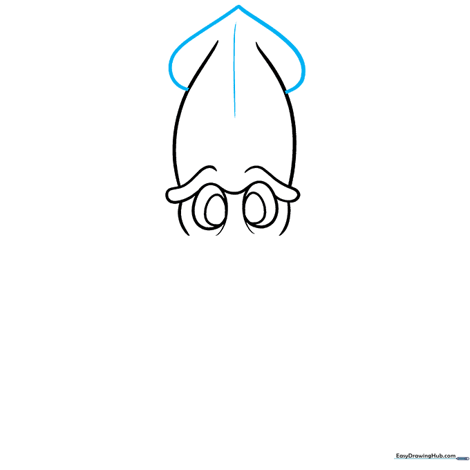 Heart-shaped fin added to the top of the squid's mantle