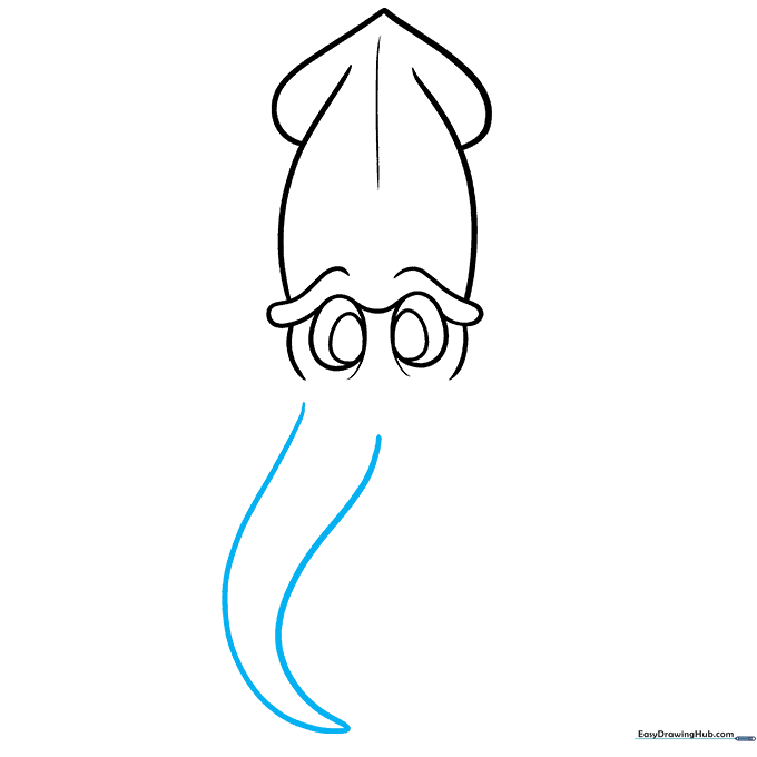 First long, pointed arm extending from the bottom of the squid's head