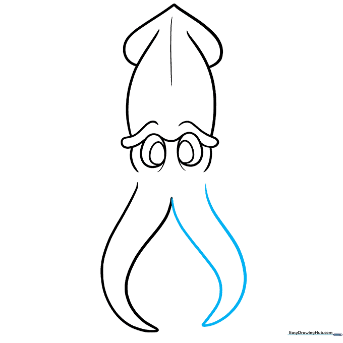 Second arm added to the squid, creating symmetry