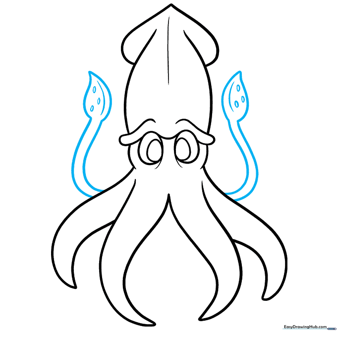 Long tentacles with suction cup details added to the squid