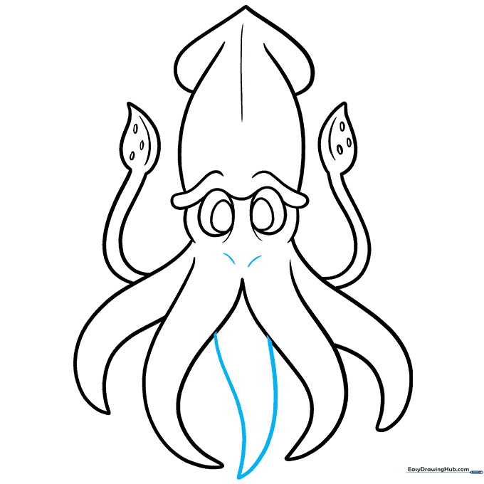 Final arm added to the center of the squid's tentacles