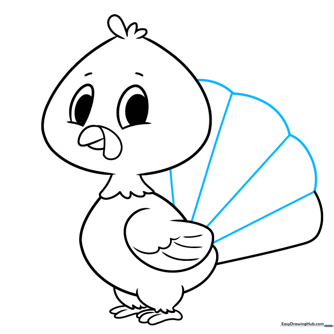 Drawing the large, fan-shaped tail with scalloped edges and internal lines.