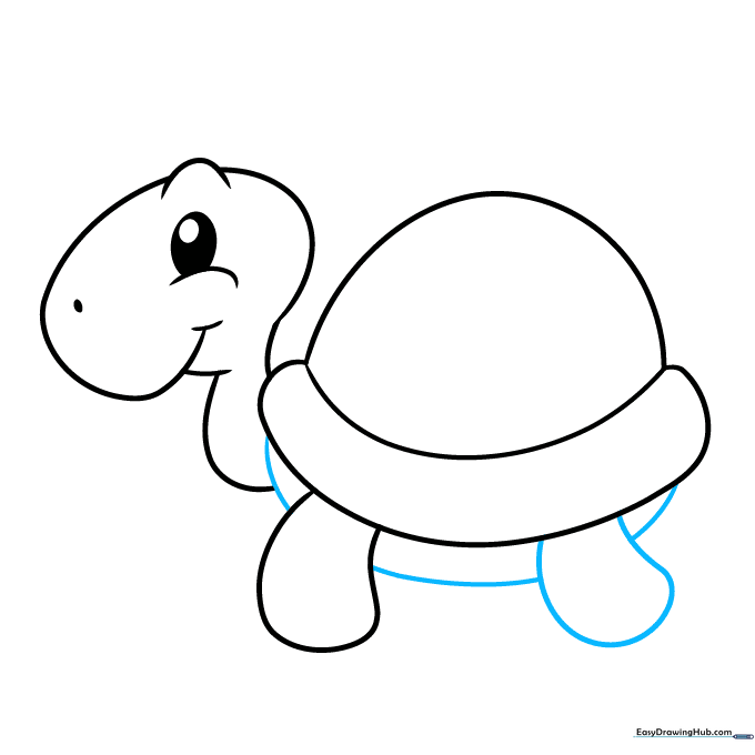 Adding the rear leg and connecting the belly line to the turtle's body.
