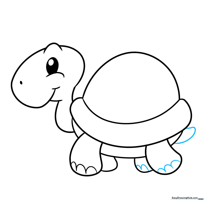 Drawing the turtle's tail and finishing the toenail details on the feet.