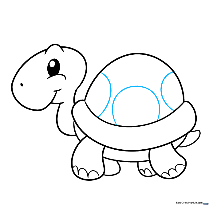 Adding circular patterns to the turtle shell to create texture.