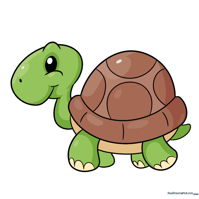 A finished, colored cartoon turtle drawing with green skin and a brown shell.