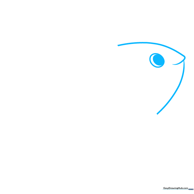 Pencil sketch showing the initial curved outline of a clownfish head and a circular eye.