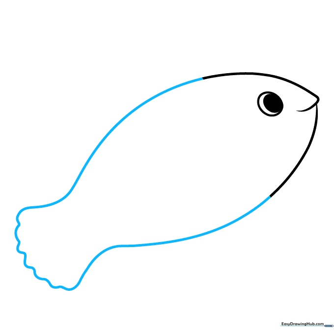 Outline of the clownfish body extending from the head with a scalloped tail fin.