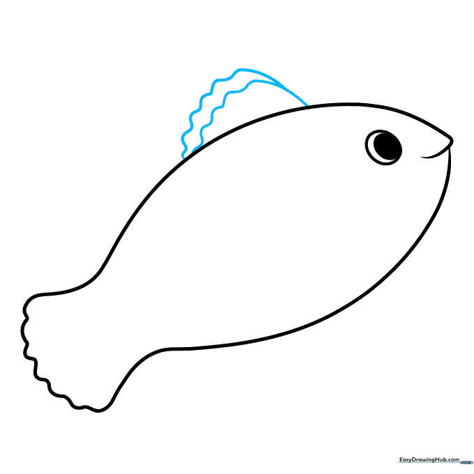 Drawing the dorsal fin on the clownfish back using wavy lines to indicate stripes.