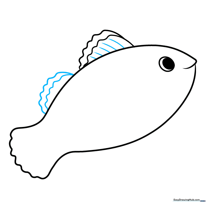 Adding detail lines to the dorsal fin and sketching a second fin behind it.