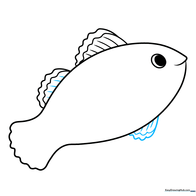 Sketching the ventral fin on the belly of the fish with added texture lines.