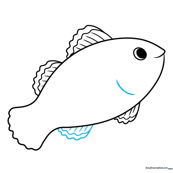 Adding the anal fin and a guide line for the pectoral fin on the side of the fish.