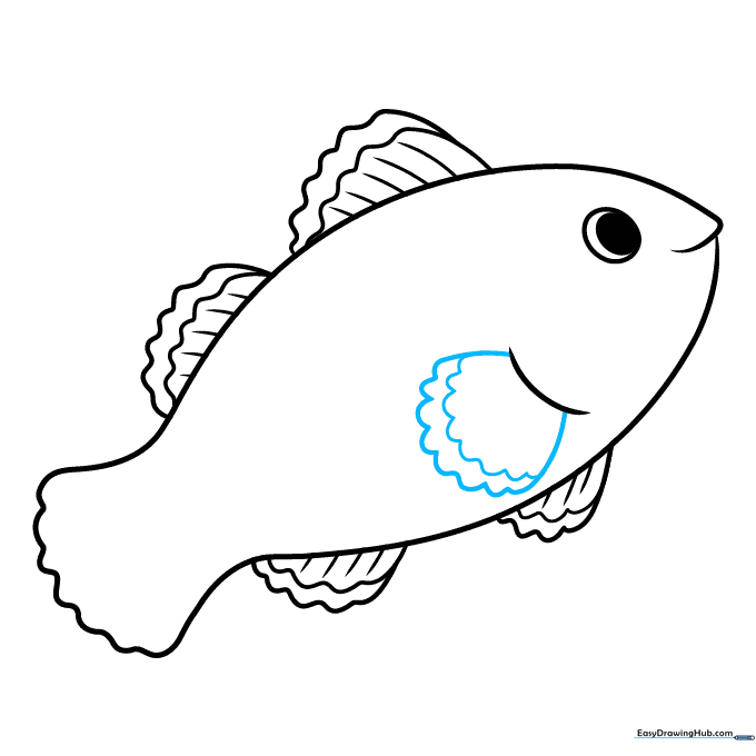 Drawing the pectoral fin on the side of the clownfish with a stripe detail.