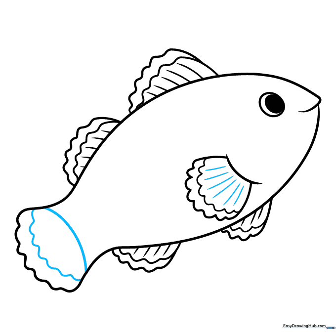 Refining the tail and pectoral fin with texture lines and a stripe boundary.