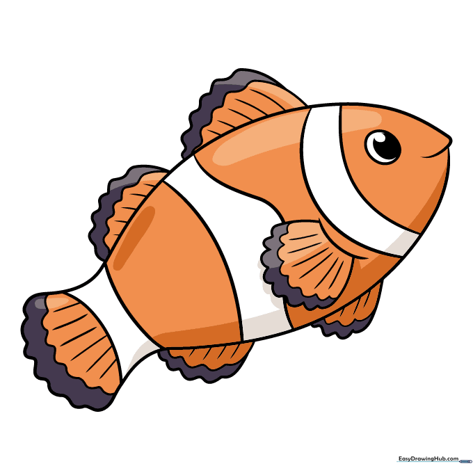 Final colored clownfish illustration with bright orange body and black-edged fins.