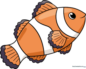 A vibrant, finished cartoon clownfish drawing, serving as the final goal for the tutorial.
