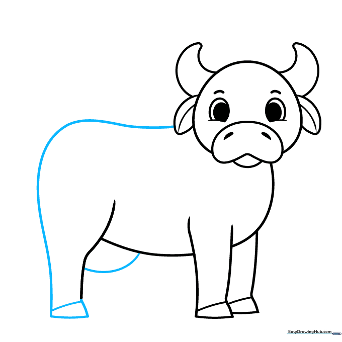 Drawing the cow's back and udder area.