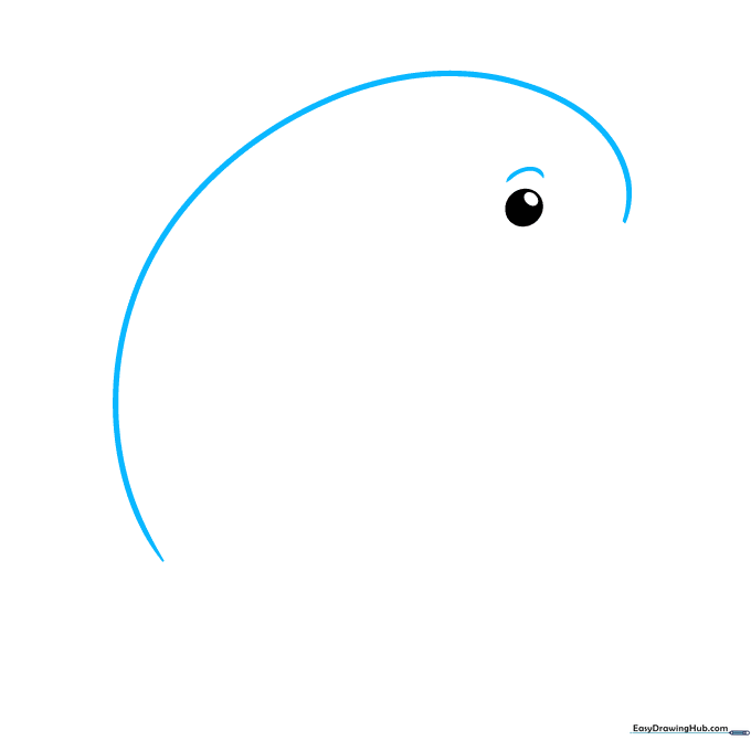 Outline of a dolphin's head and back showing a long curved line and a small eyebrow arch.