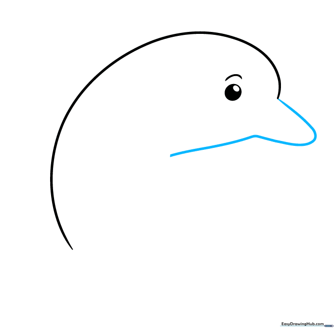 Dolphin outline showing the addition of the beak and lower jaw area.