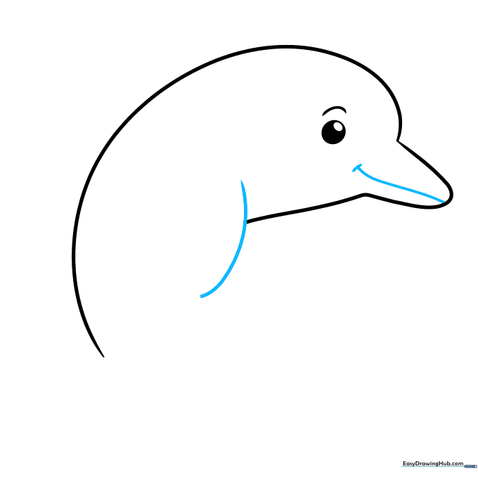 Dolphin drawing showing the first flipper and a small curved mouth line.