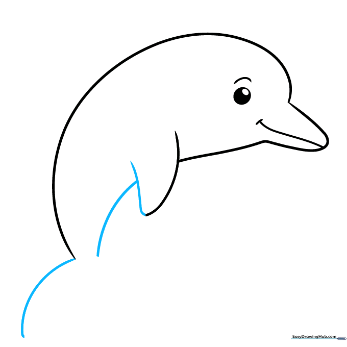 Dolphin drawing with a completed flipper and the start of the tail fin.