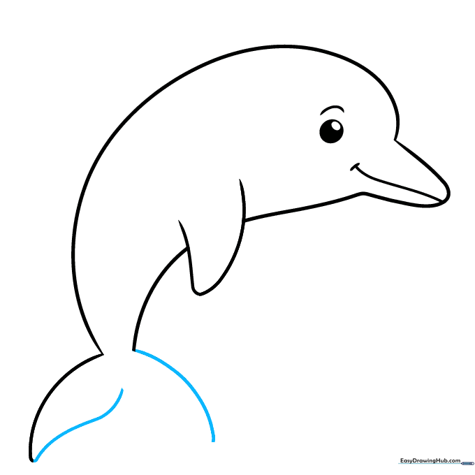Dolphin drawing showing the tail fin taking shape with mirrored curved lines.