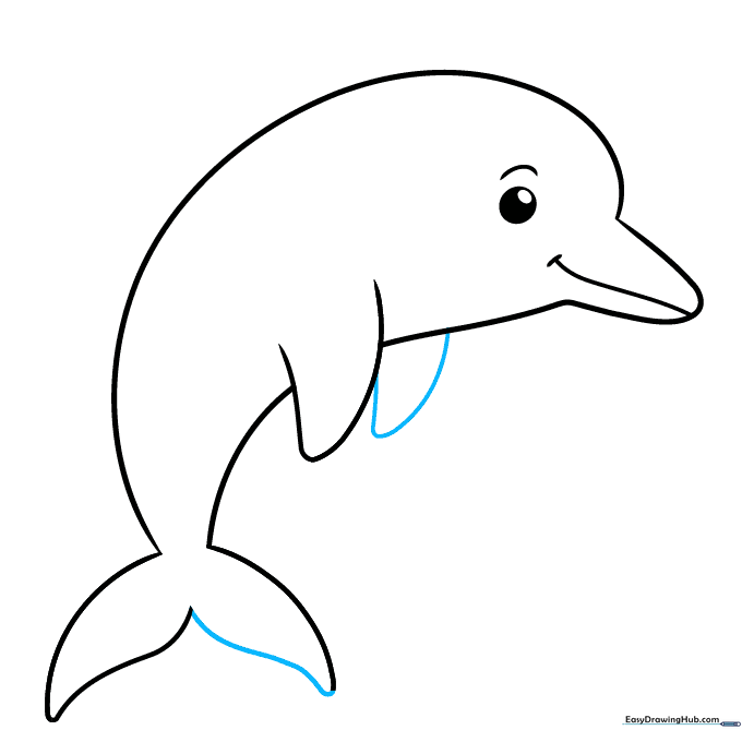 Dolphin drawing with a finished tail and a second flipper added for depth.
