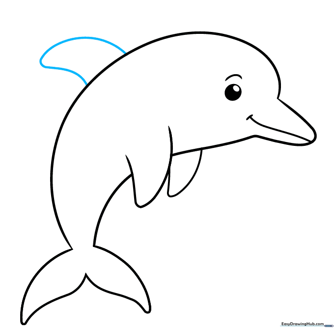 Dolphin drawing with a dorsal fin added to the top of the back.