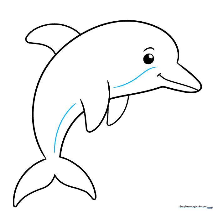 Dolphin drawing with added belly detail lines for coloration guidance.