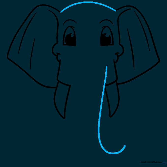 Drawing showing the forehead curve and the start of the elephant's trunk.