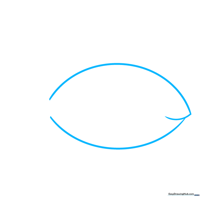Pencil sketch showing two curved lines forming the elongated body of a fish with an open mouth.