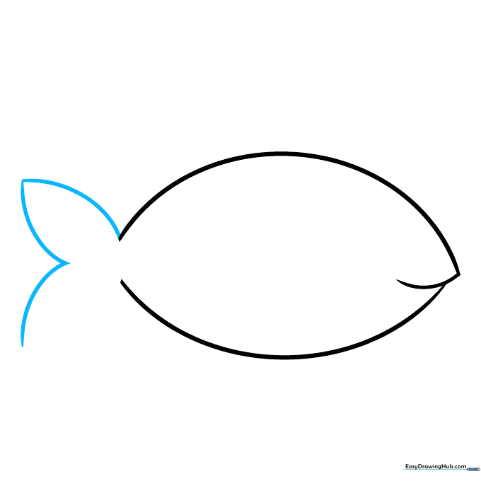 Drawing the tail fins using two curved lines meeting at a point at the back of the fish body.