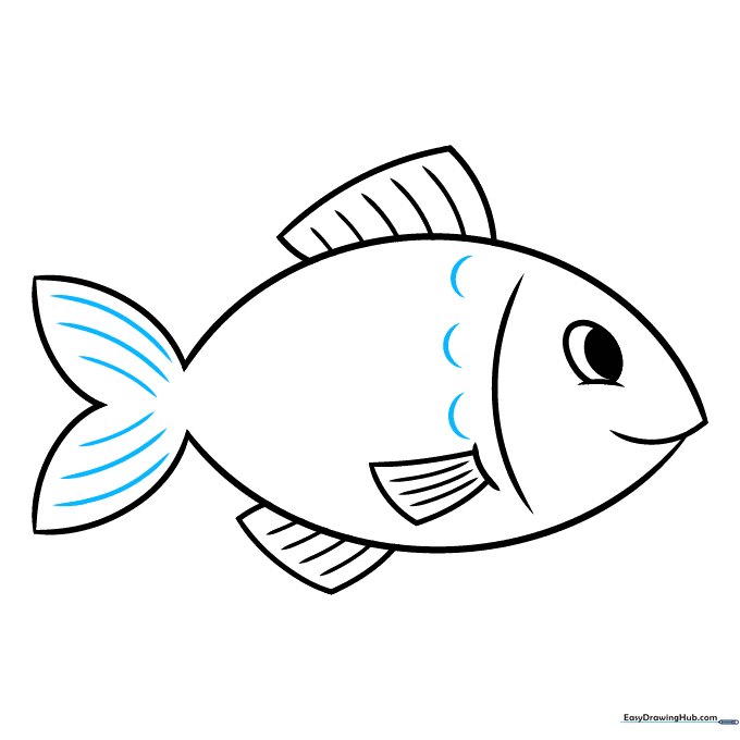 Adding small C-shaped scale patterns along the body of the fish.