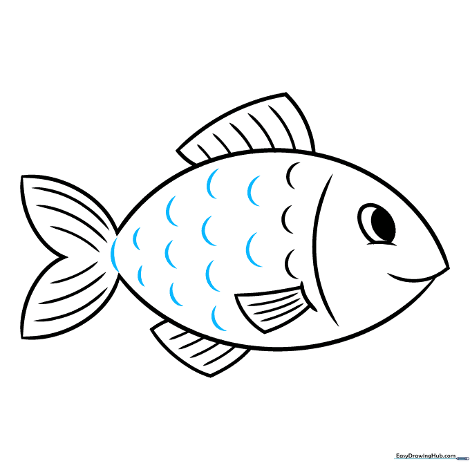 Completing the scale pattern across the entire fish body.