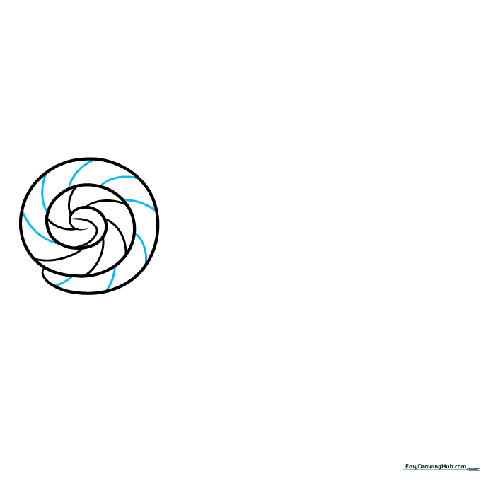 Finished stripe details on the circular lollipop