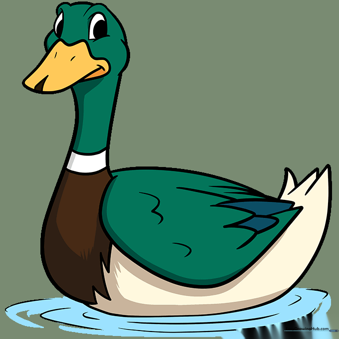 A fully colored mallard duck with a green head and brown body.