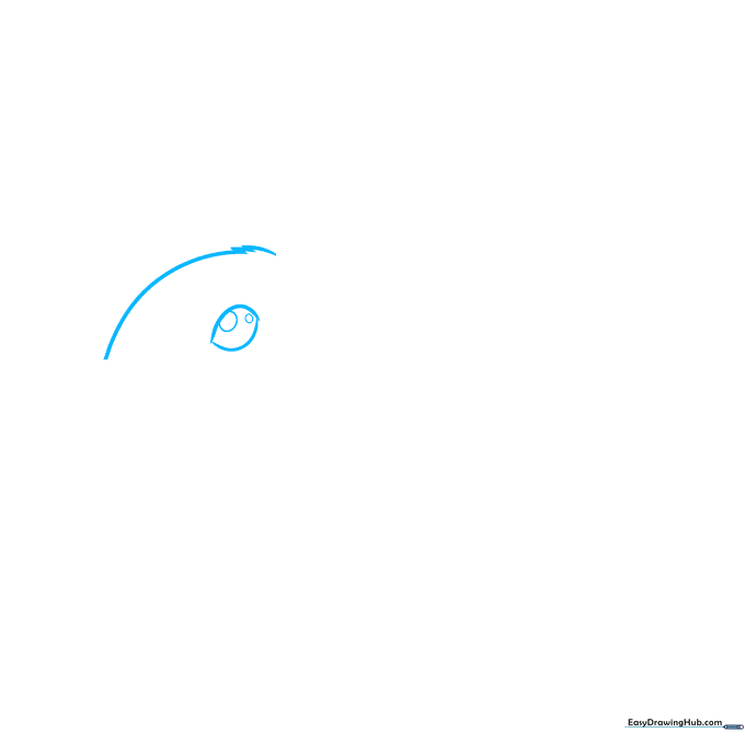 Close-up sketch of a rabbit eye with detailed pupil and iris structure.