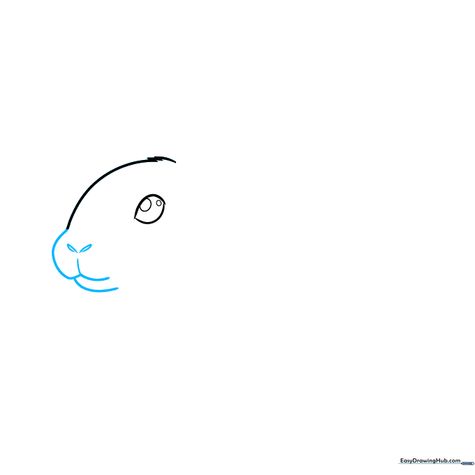 Drawing the rabbit's nose and mouth area with soft curved lines.