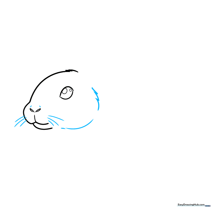 Sketching the furry jawline and whiskers of a realistic rabbit.