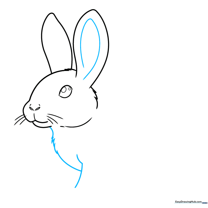 Drawing the chest and front leg with textured fur lines.